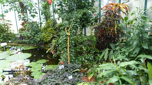 p1030963
