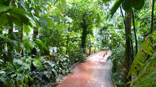 p1030968