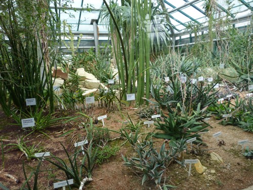 p1040033