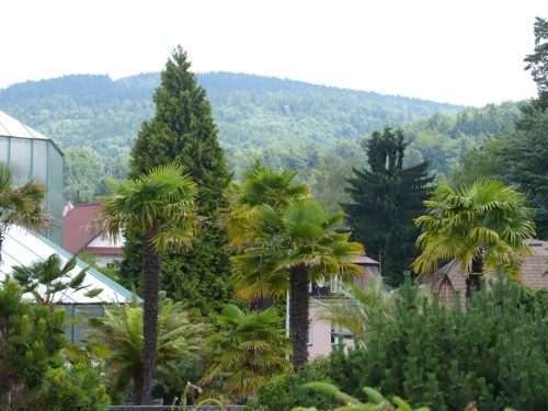 p1040071