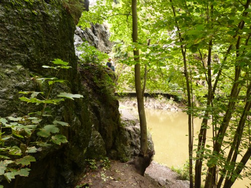 p1060045