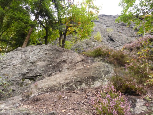 p1060101