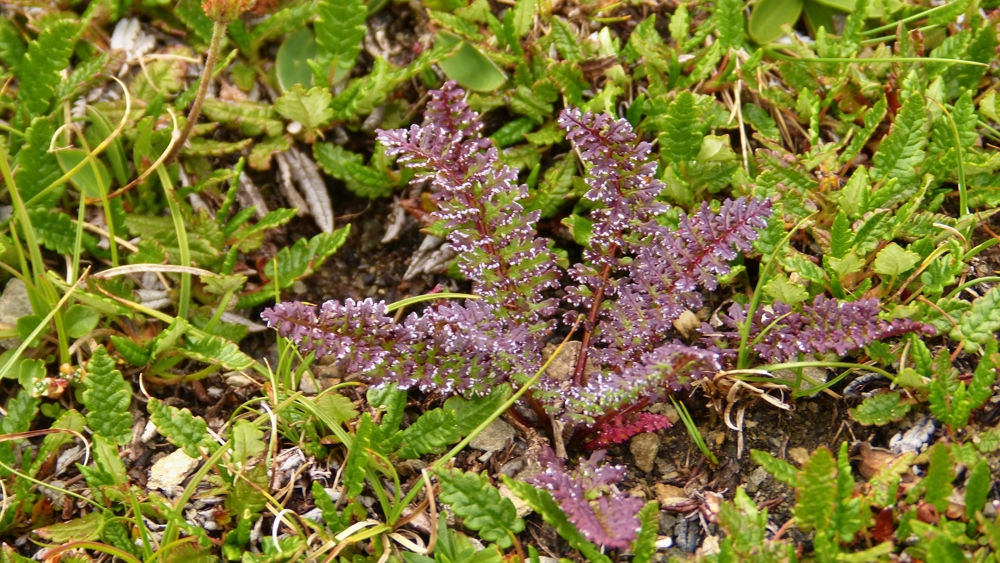 p1150406